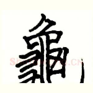 龜