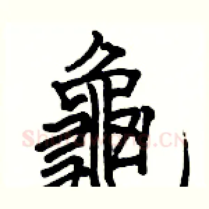 龜