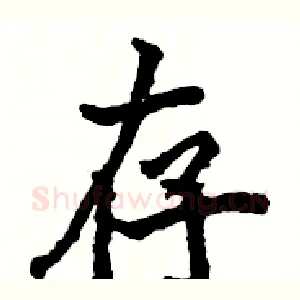存
