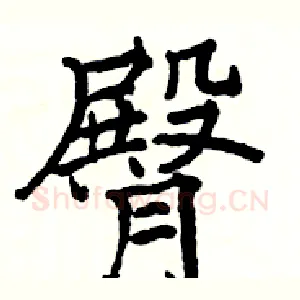 臀