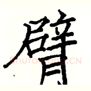 臂