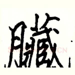 臟