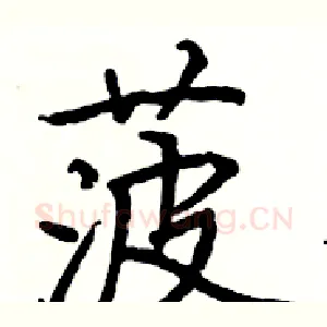 菠