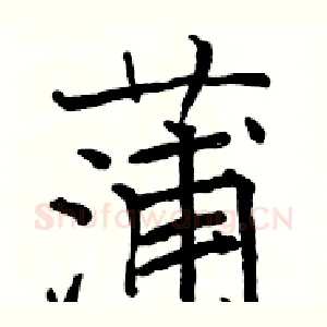 蒲