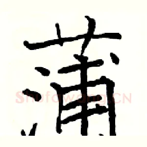 蒲