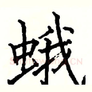 蛾