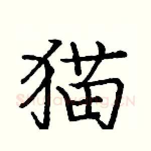 猫