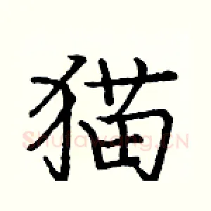 猫