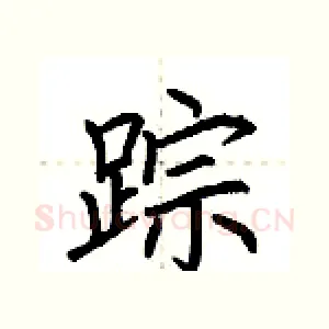踪