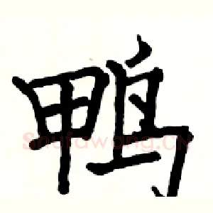 鸭