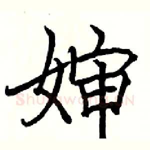 婶