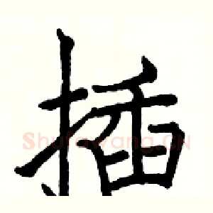 插