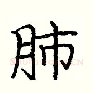 肺