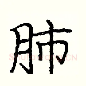 肺
