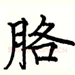 胳