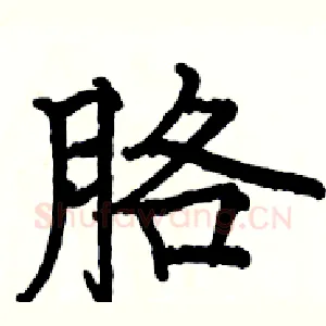 胳