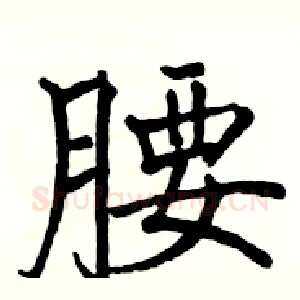 腰