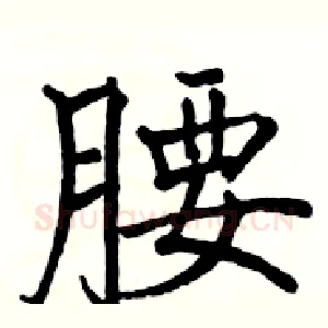 腰