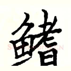 鳍