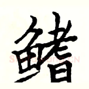 鳍
