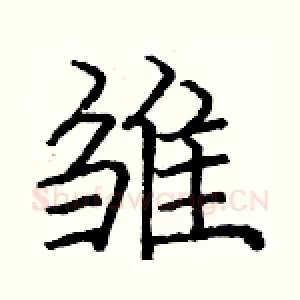 雏