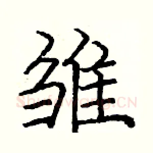 雏