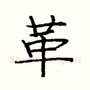 革