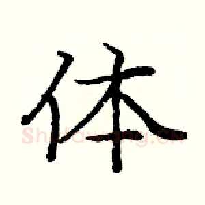 体
