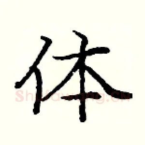 体