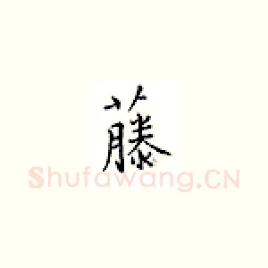 藤