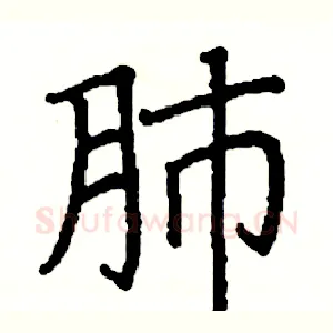 肺