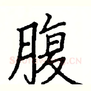 腹