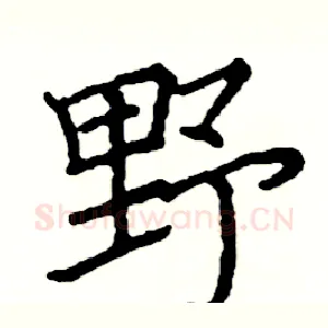 野