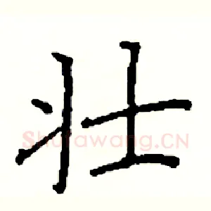 壮