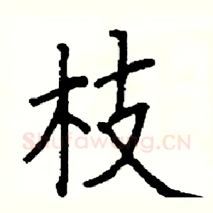 枝