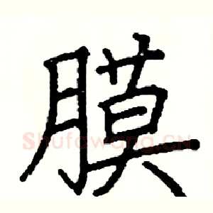 膜