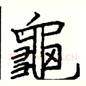 龜