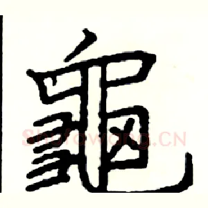 龜