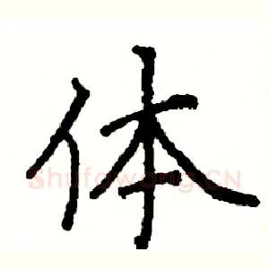 体
