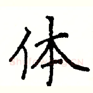 体
