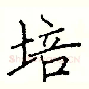 培