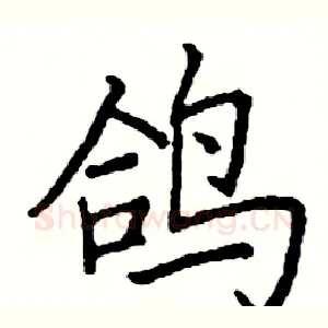 鸽