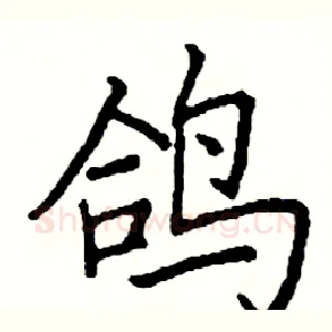 鸽