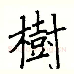 樹