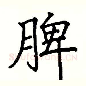脾