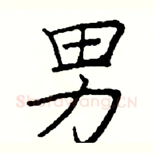 男