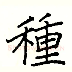 種
