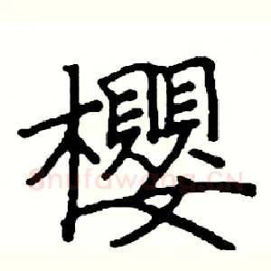 櫻
