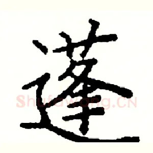 蓬