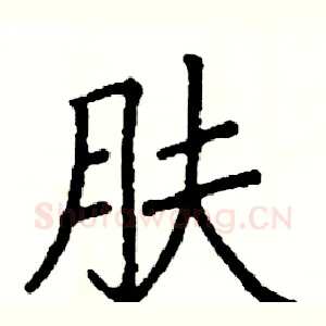 肤